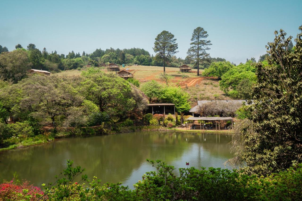 Africamps Magoebaskloof Exterior foto